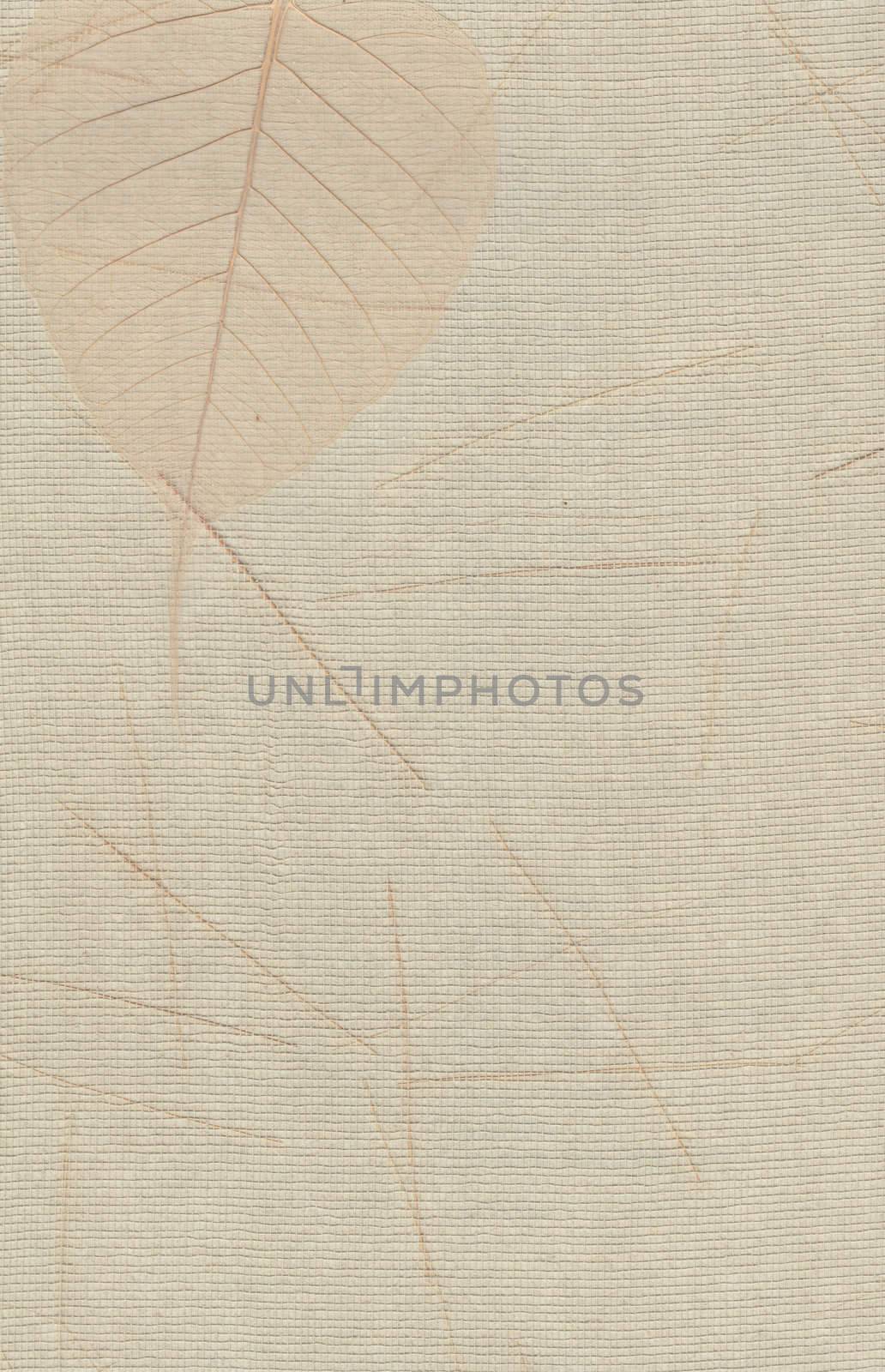 Vintage grunge flower background by jeremywhat