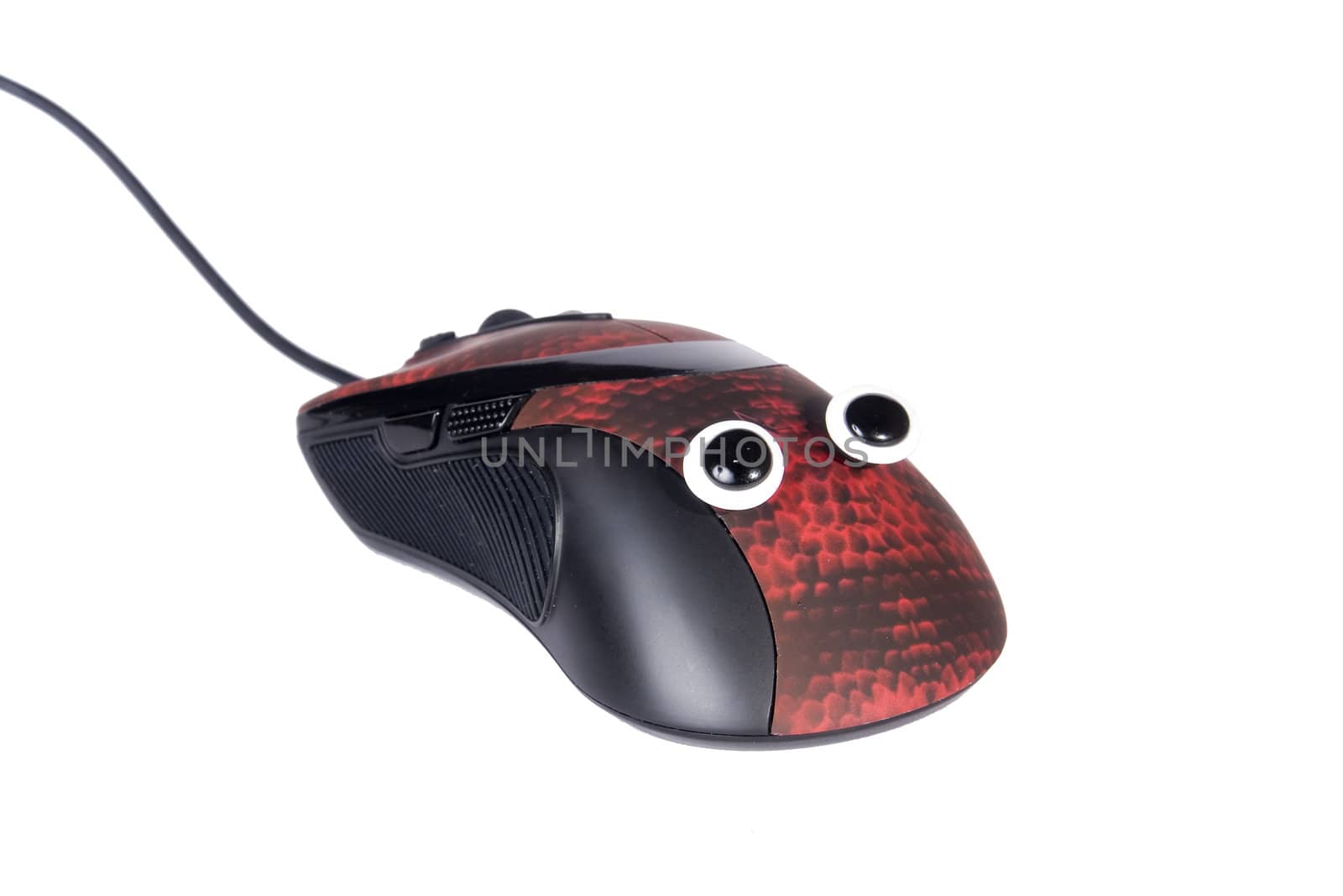 an isolated shot of a computer mouse