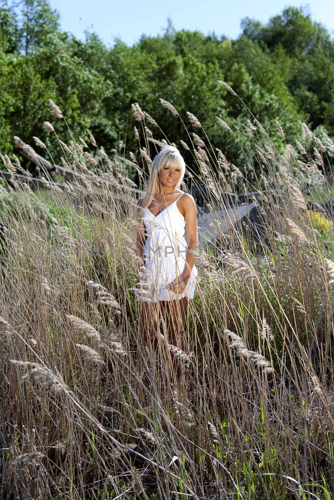 girl in white dress are standing in dry grass at summer daylight