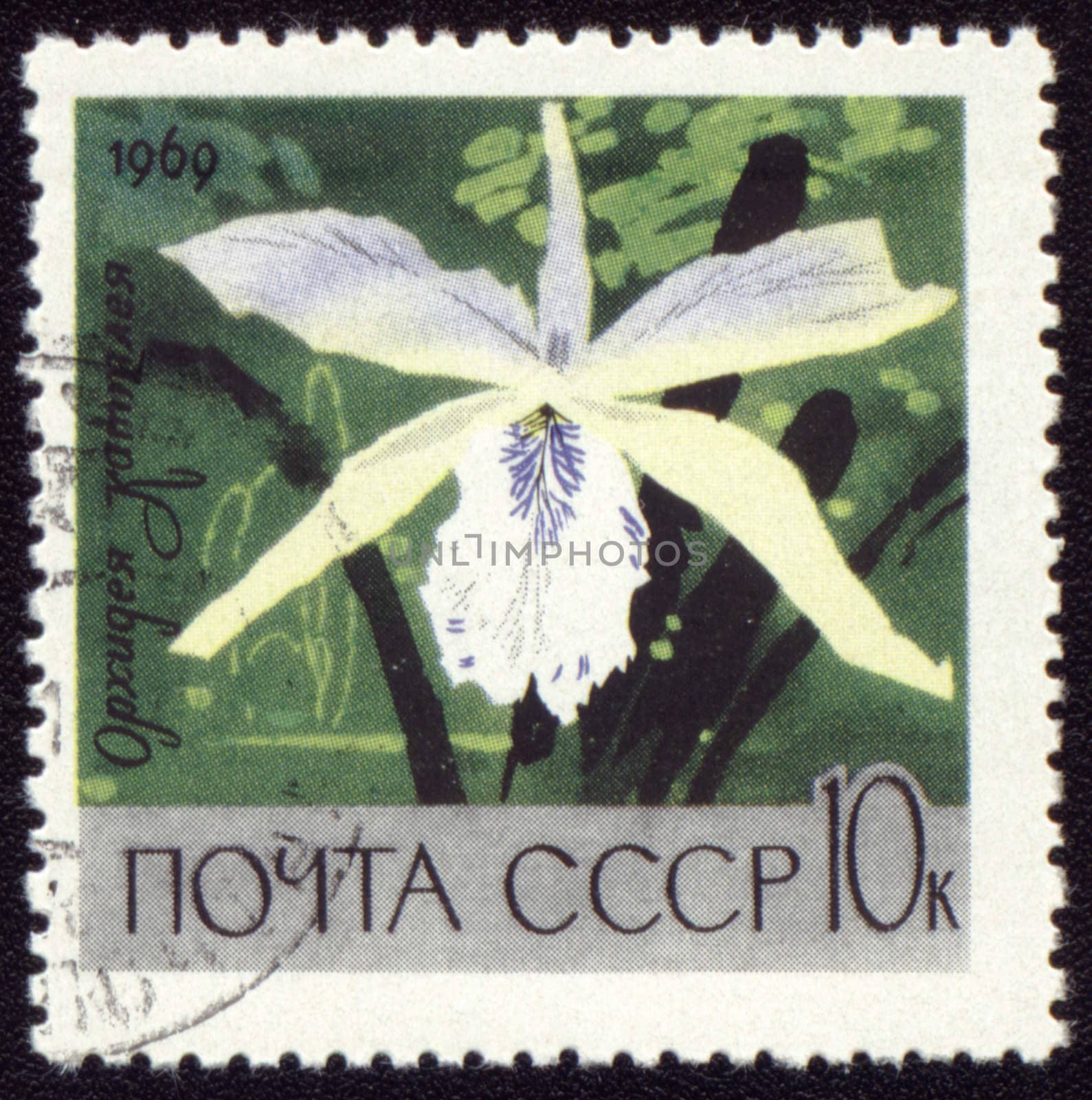 USSR - CIRCA 1969: stamp printed in USSR, shows white orchid, circa 1969