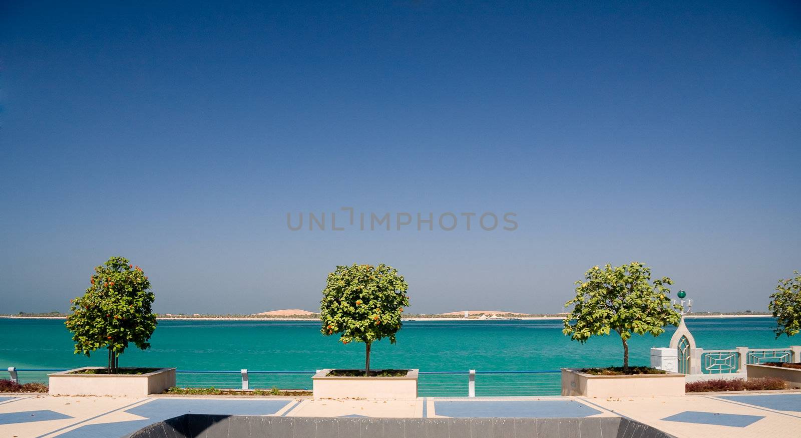View of the Gulf of the coast of Abu Dhabi framed by a trio of trees