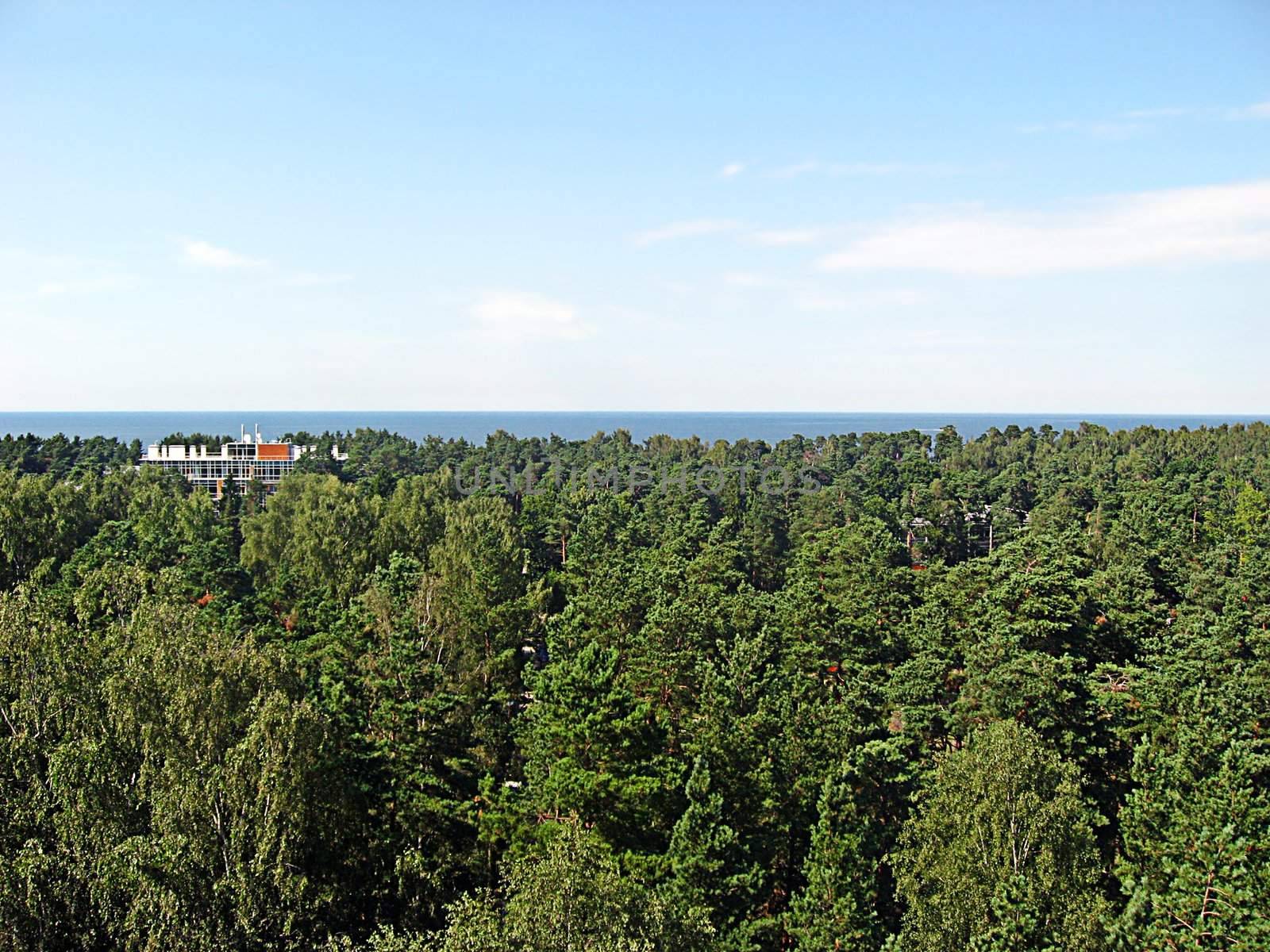 Forest and baltic sea by MarkoStrada