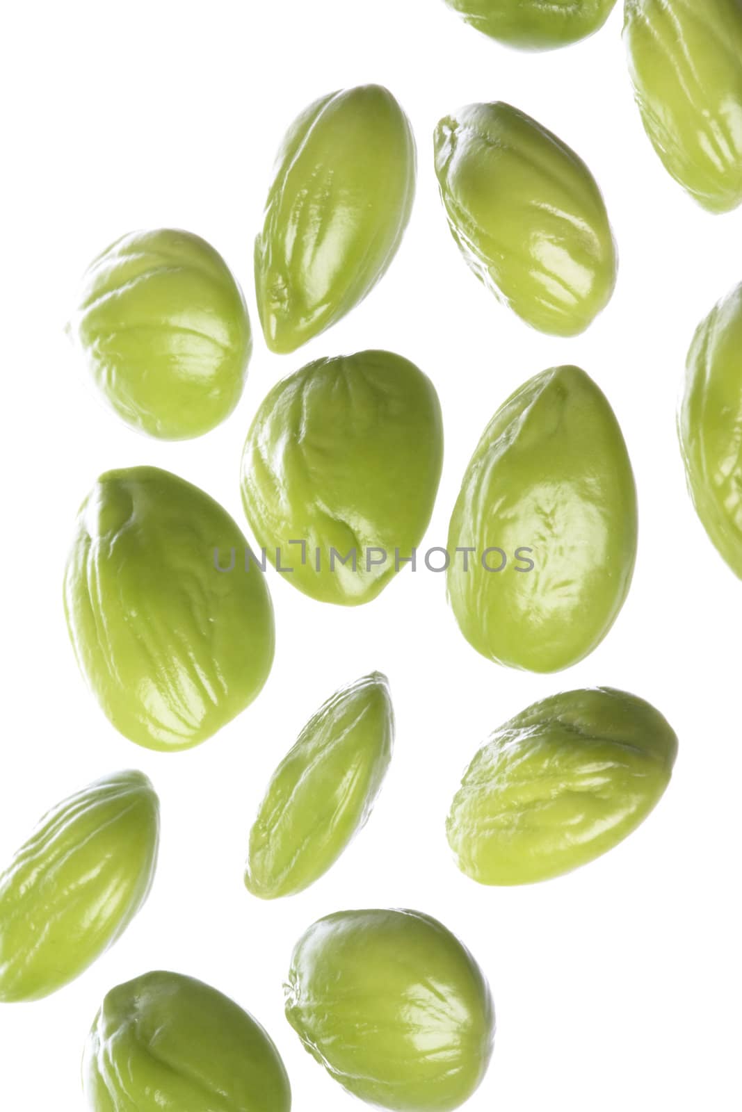 Isolated macro image of bitter beans or Petai as it is known in Malaysia.