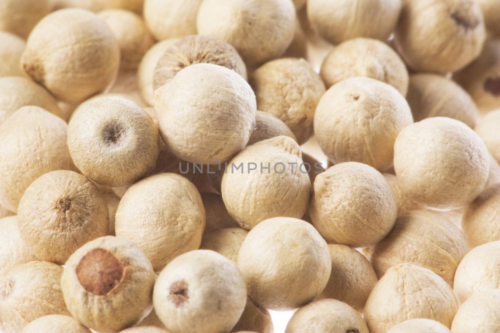 Isolated macro image of white pepper.