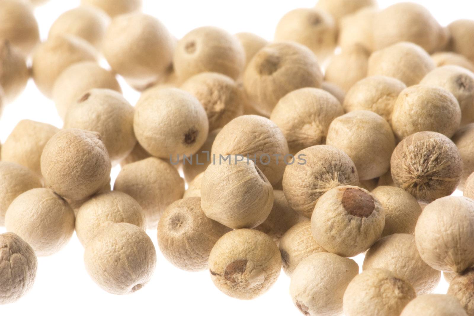 Isolated macro image of white pepper.