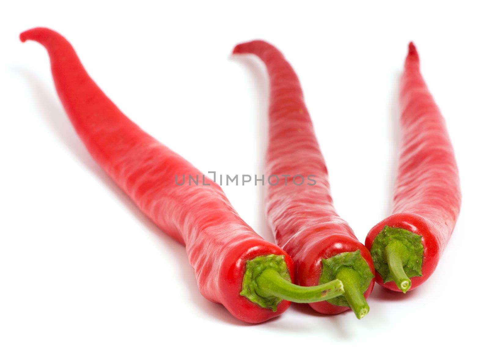 Red chilly pepper by Bedolaga