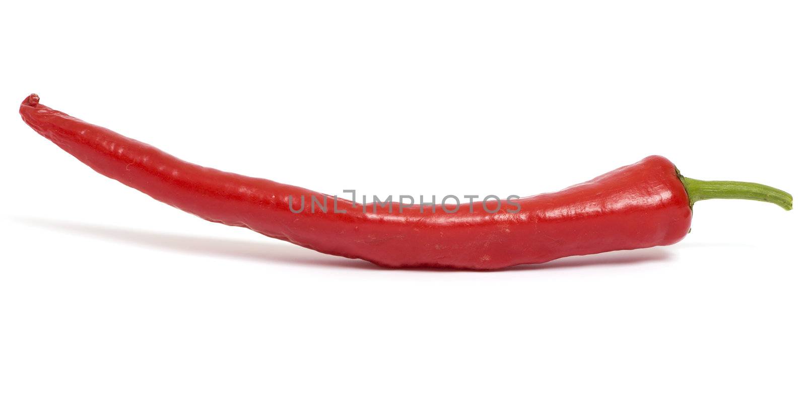 Red chilly pepper