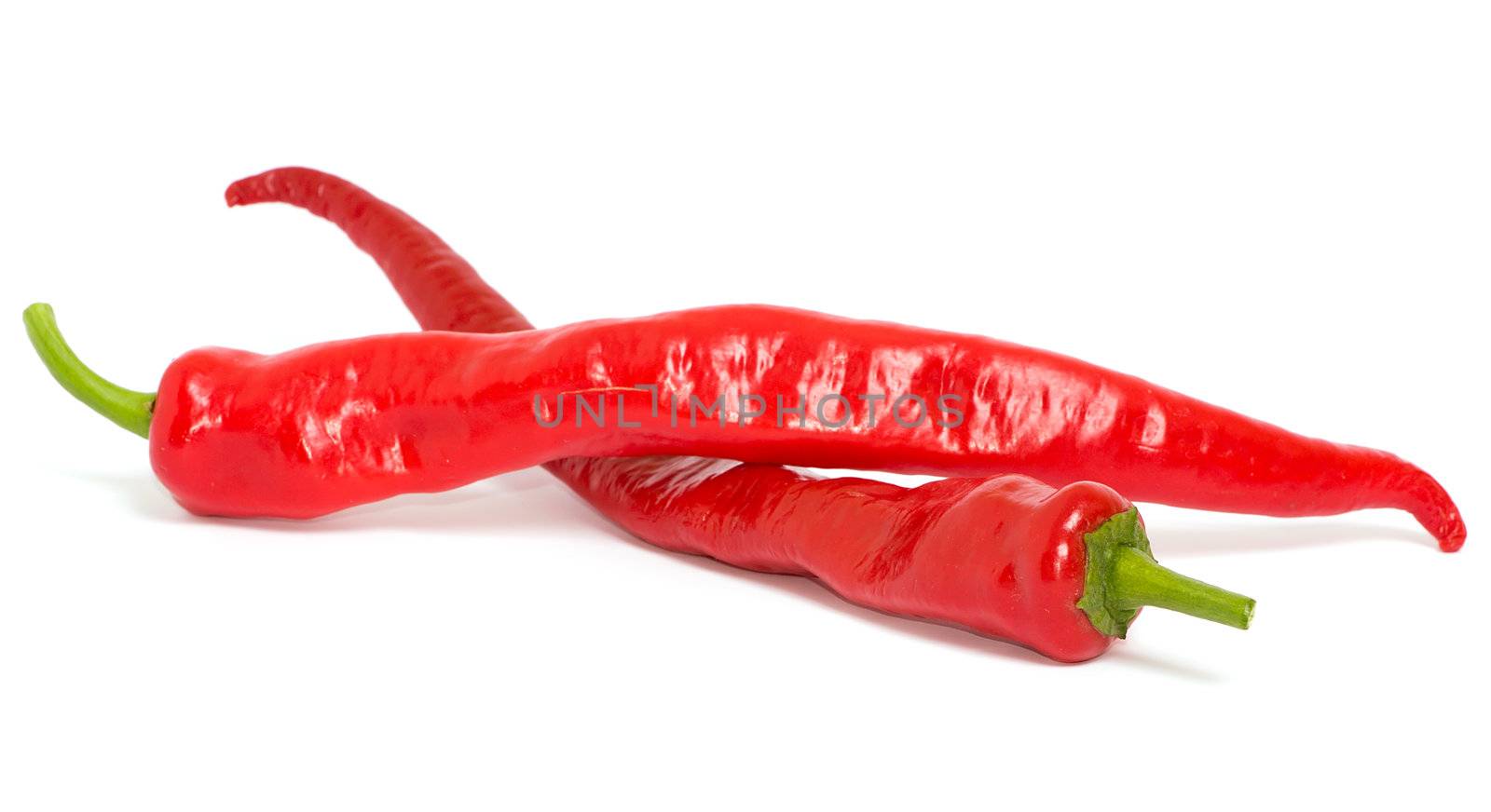 Red chilly pepper