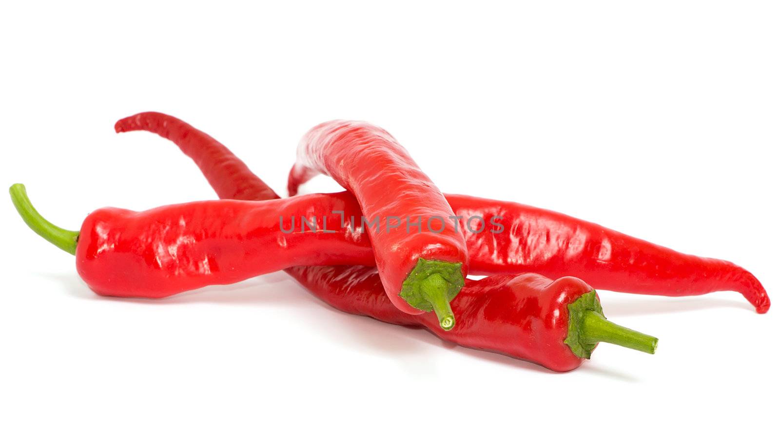Red chilly pepper