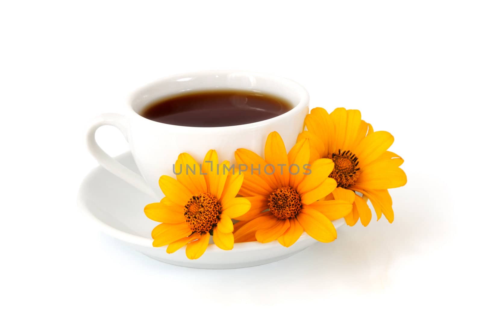 A cup of coffee with flowers by Apolonia