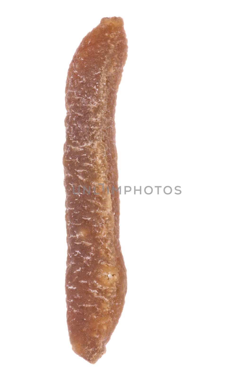 Isolated macro image of a dried sea cucumber.