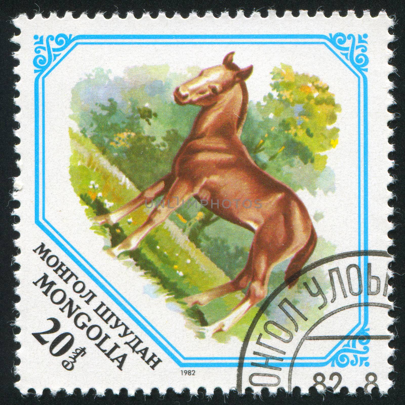 postage stamp by rook