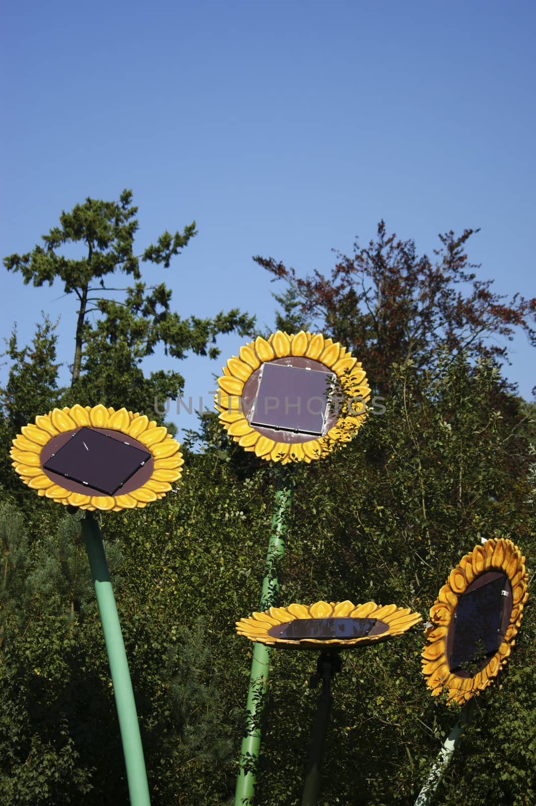 solar panels like flowers