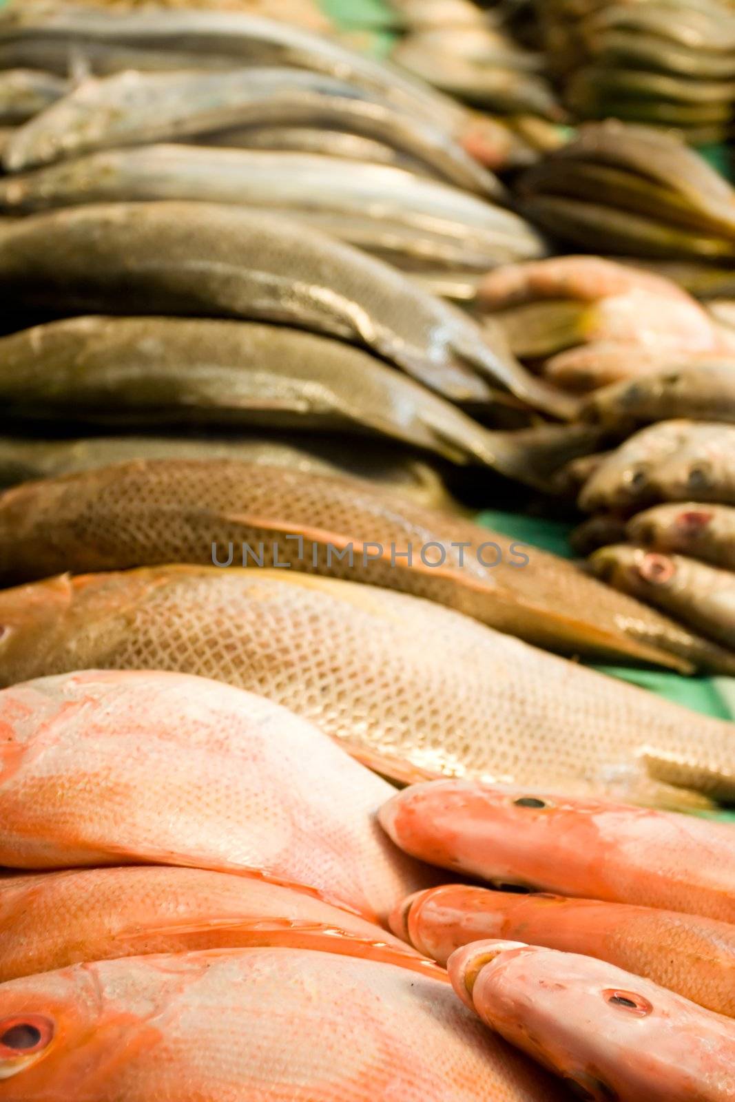view of fish meat on the traditional market in asia