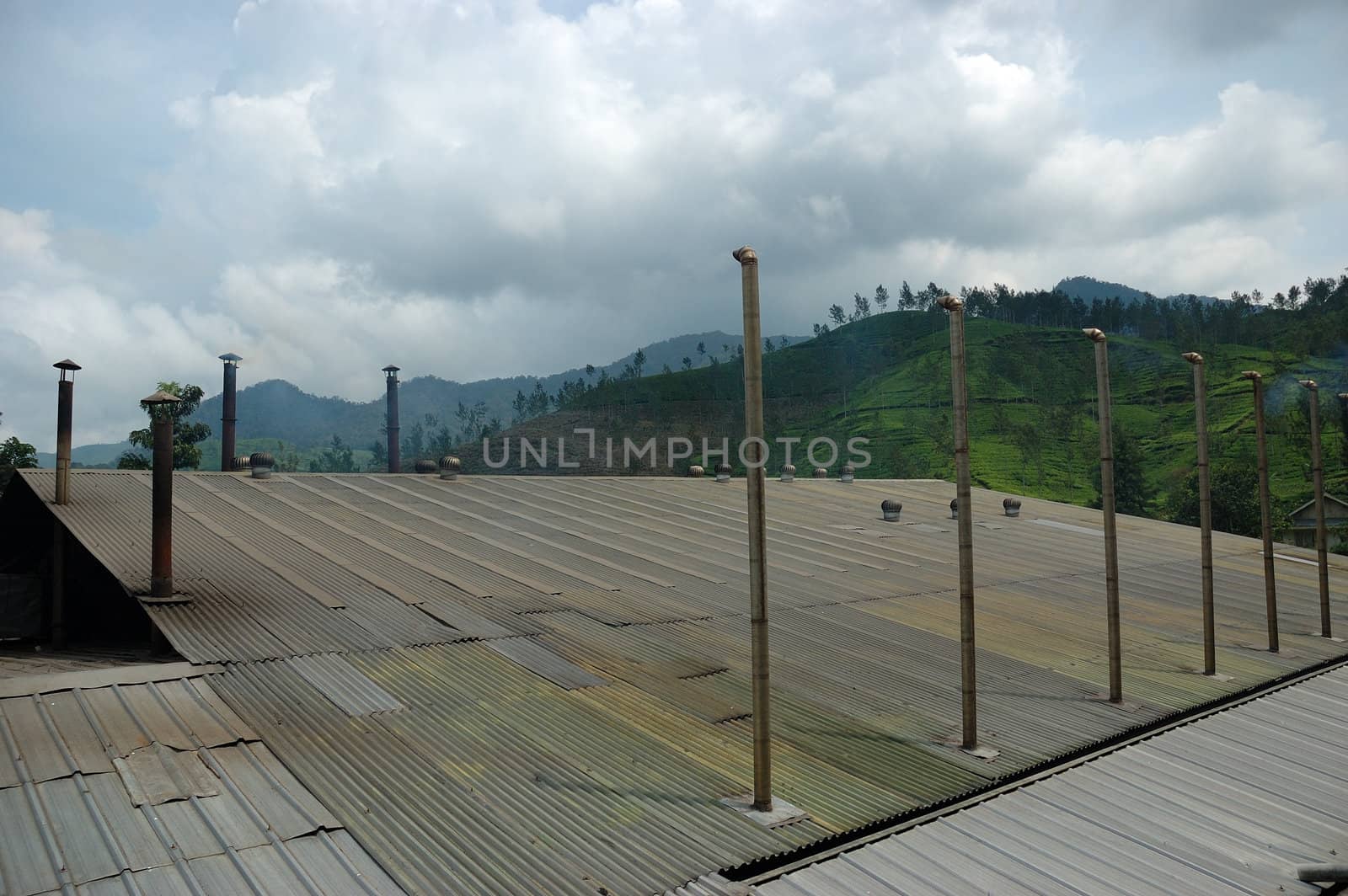 tea factory roof in rancabolang mountain, west java-indonesia