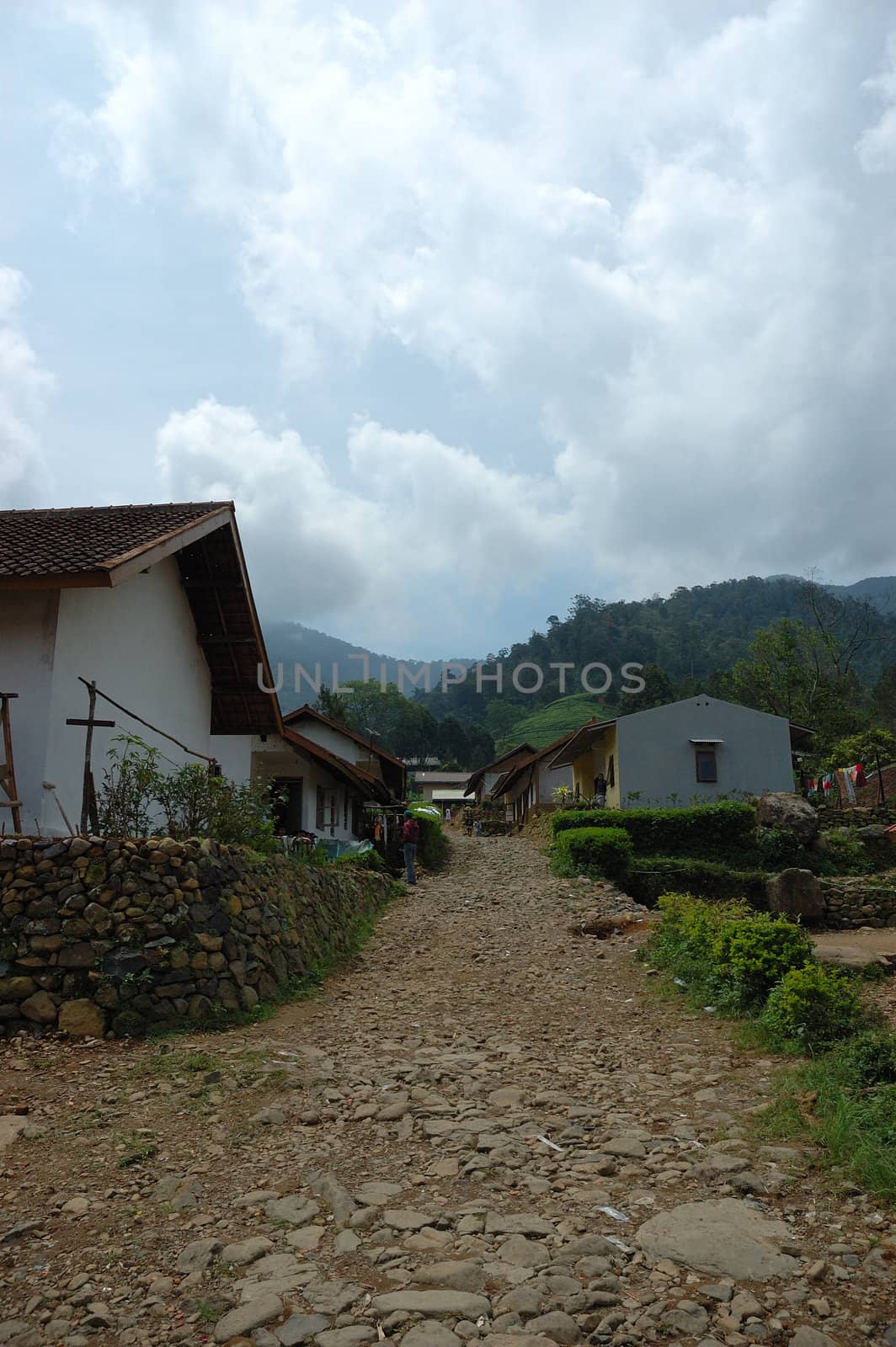 worker village in rancabolang tea plantation, west java-indonesia