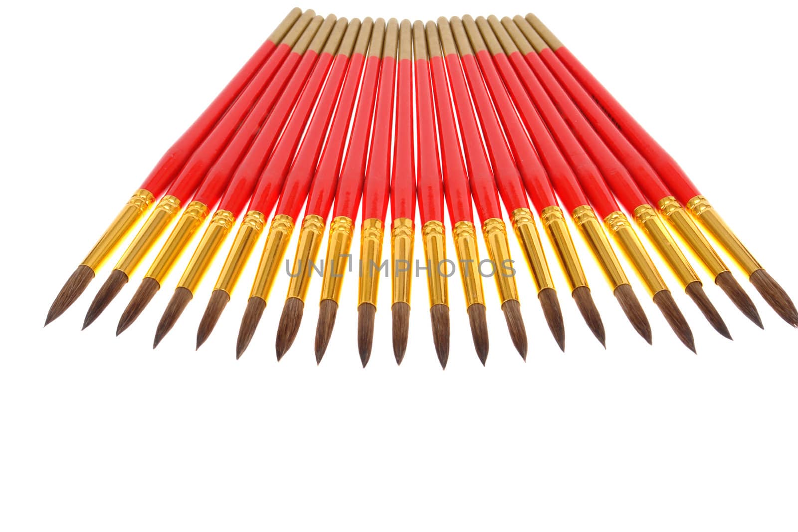 paintbrushes isolated on white background                               