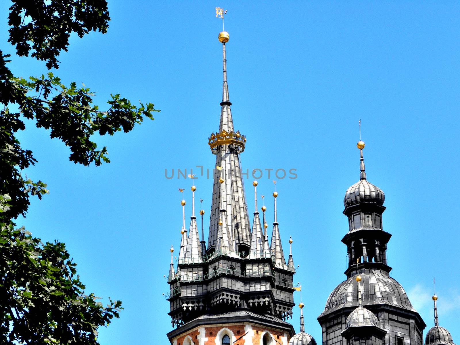 Towers (small and big) on the sky background. Tree from left side.