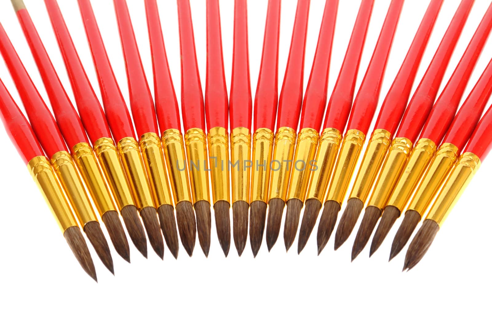 paintbrushes isolated on white background                                  