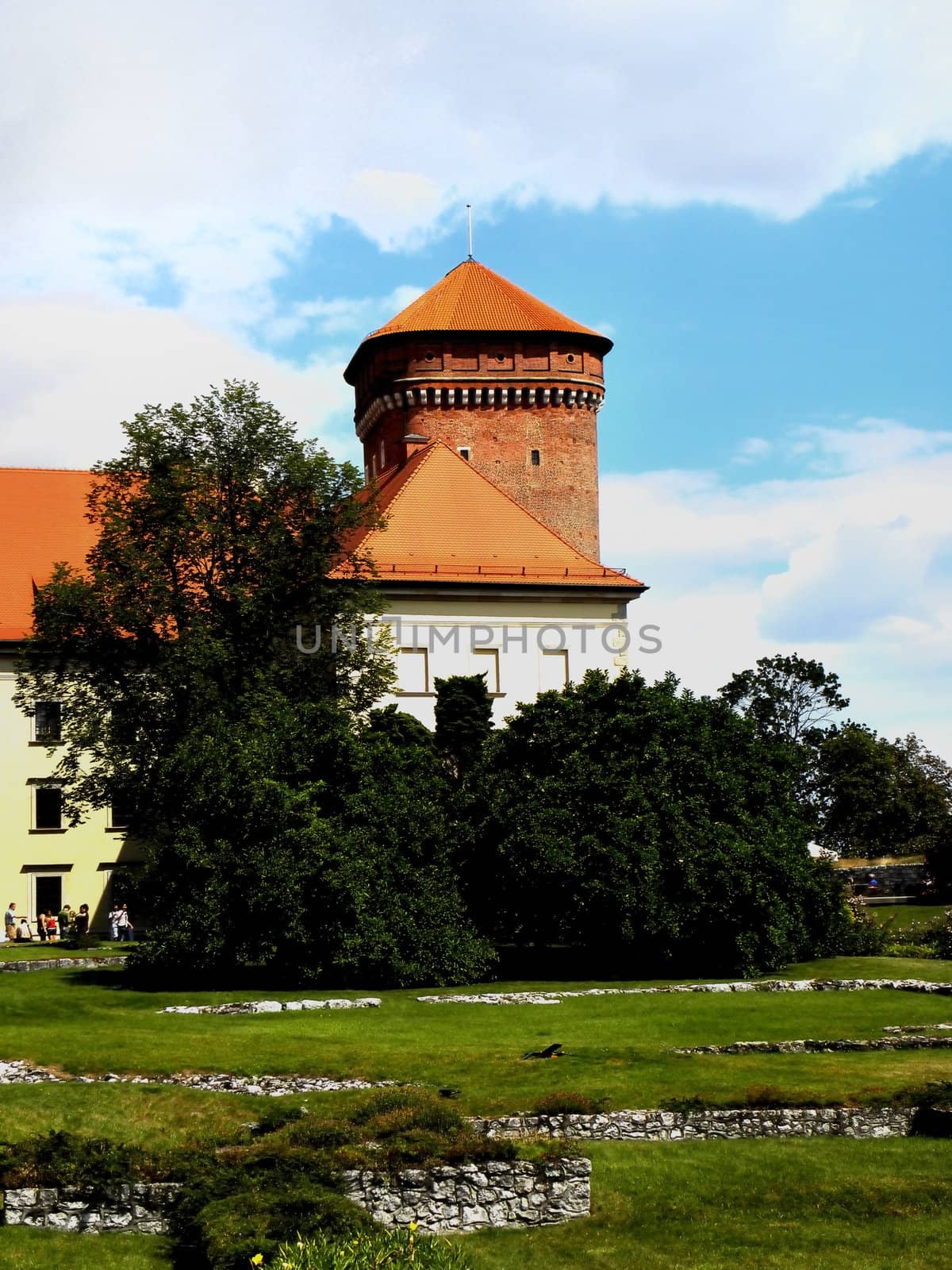 Part of Wawel (Cracow in Poland). Before to building trees and grass. 