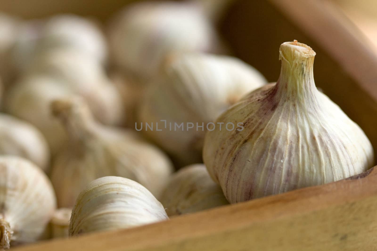 group of whole garlics in a wooden box, macro, shallow DOF