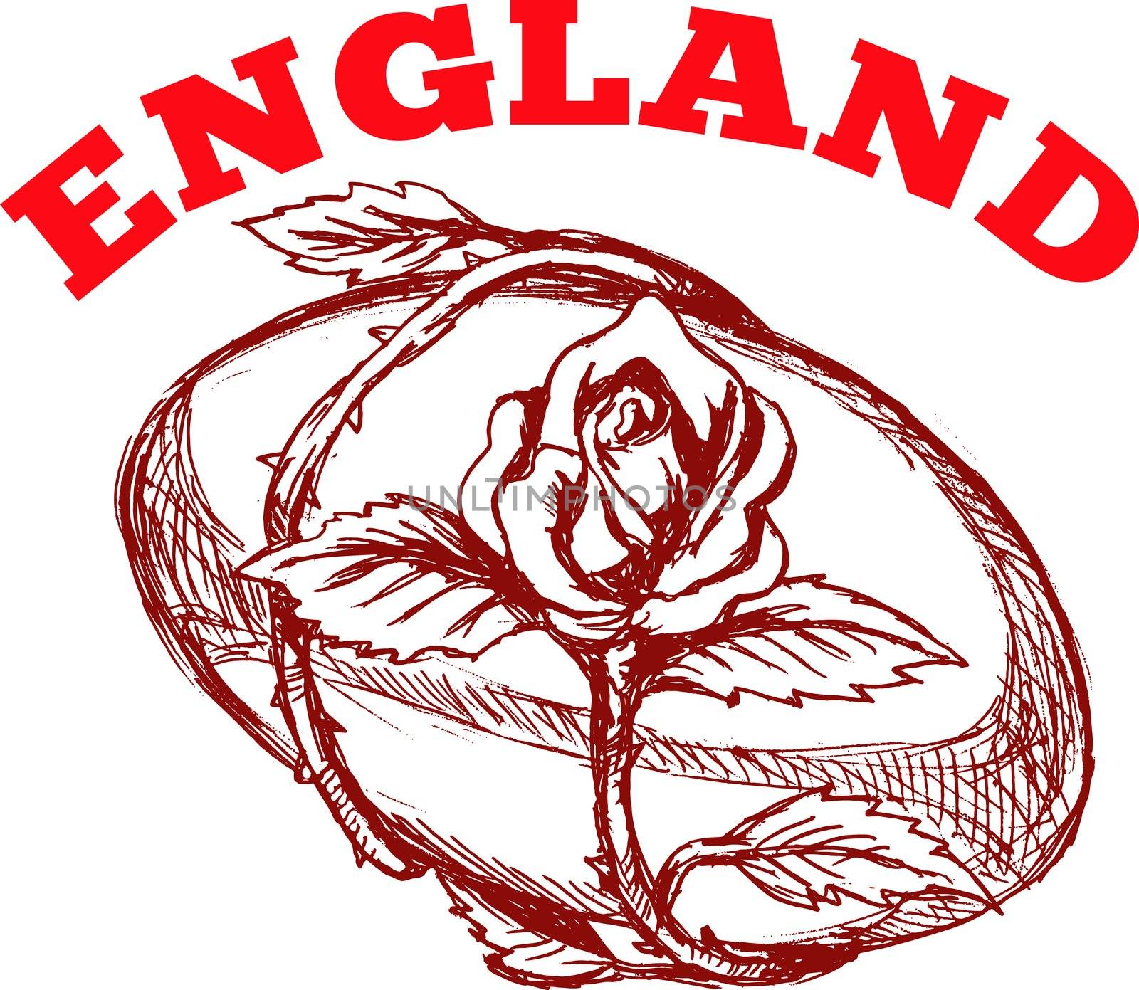 hand sketched drawing illustration of rugby ball with rose flower vine entwined on isolated background with words "England"