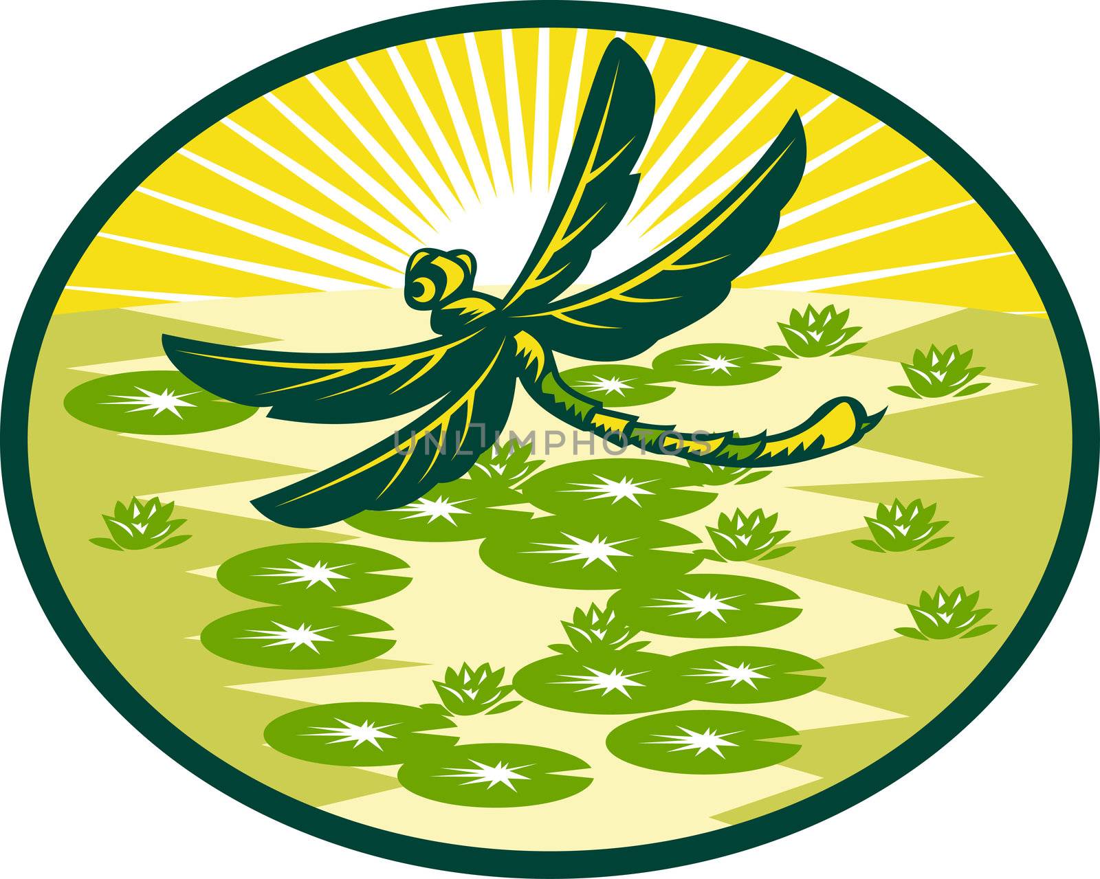 illustration of a dragonfly flying with lily pads and sunburst in background set inside an oval done in retro woodcut style.