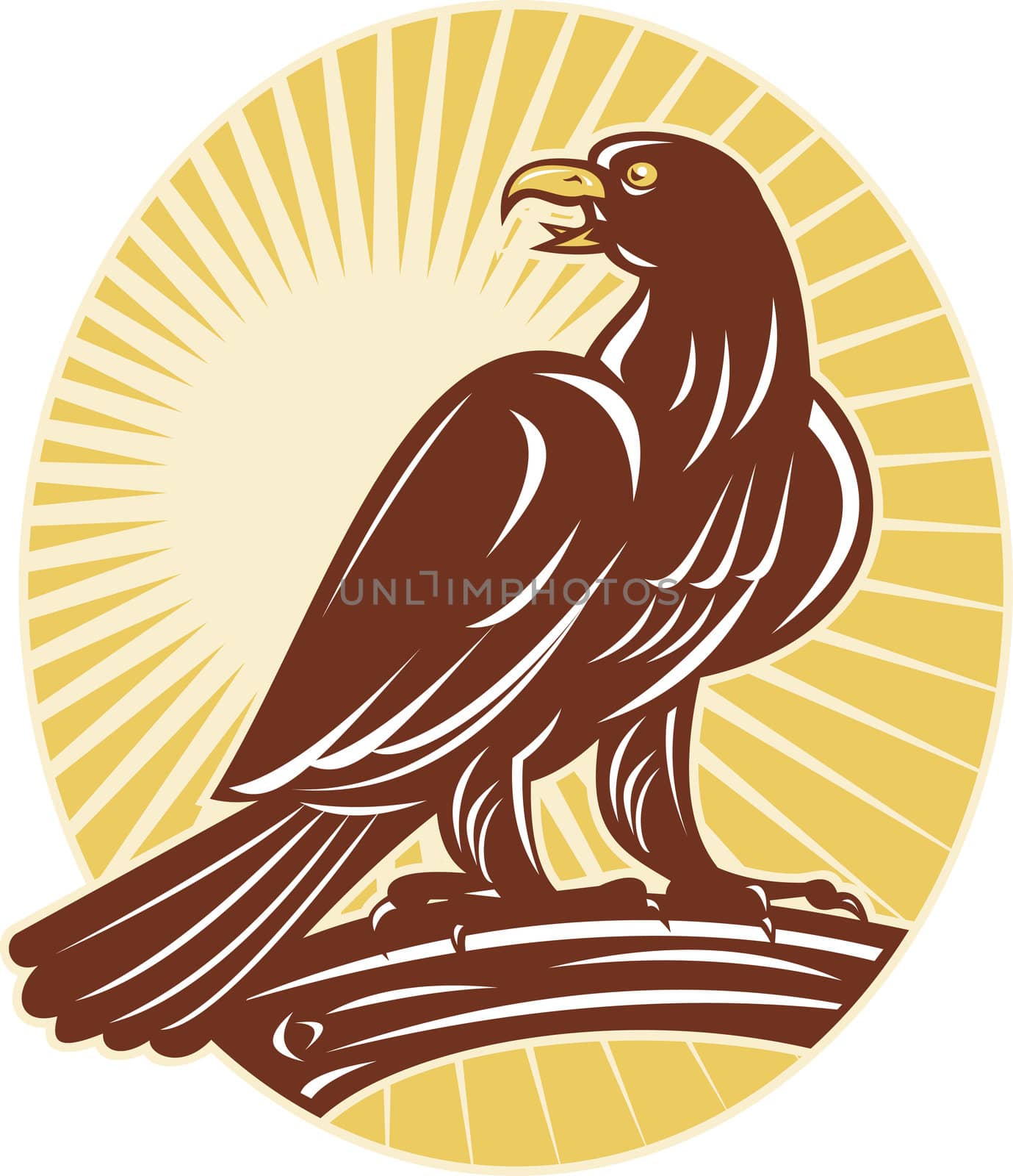 illustration of an Eagle perching on branch looking to side with sunburst in background set inside ellipse done in retro style.