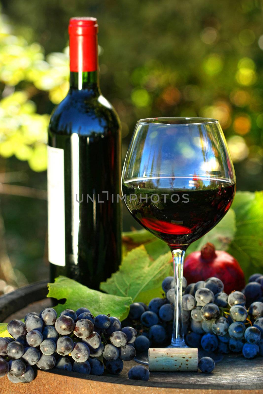 Glass of red wine with bottle and grapes against colorful foliage