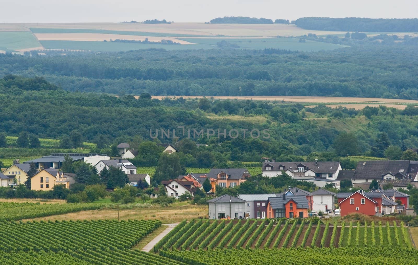 landscape with houses, vineyards and grainfields by Colette