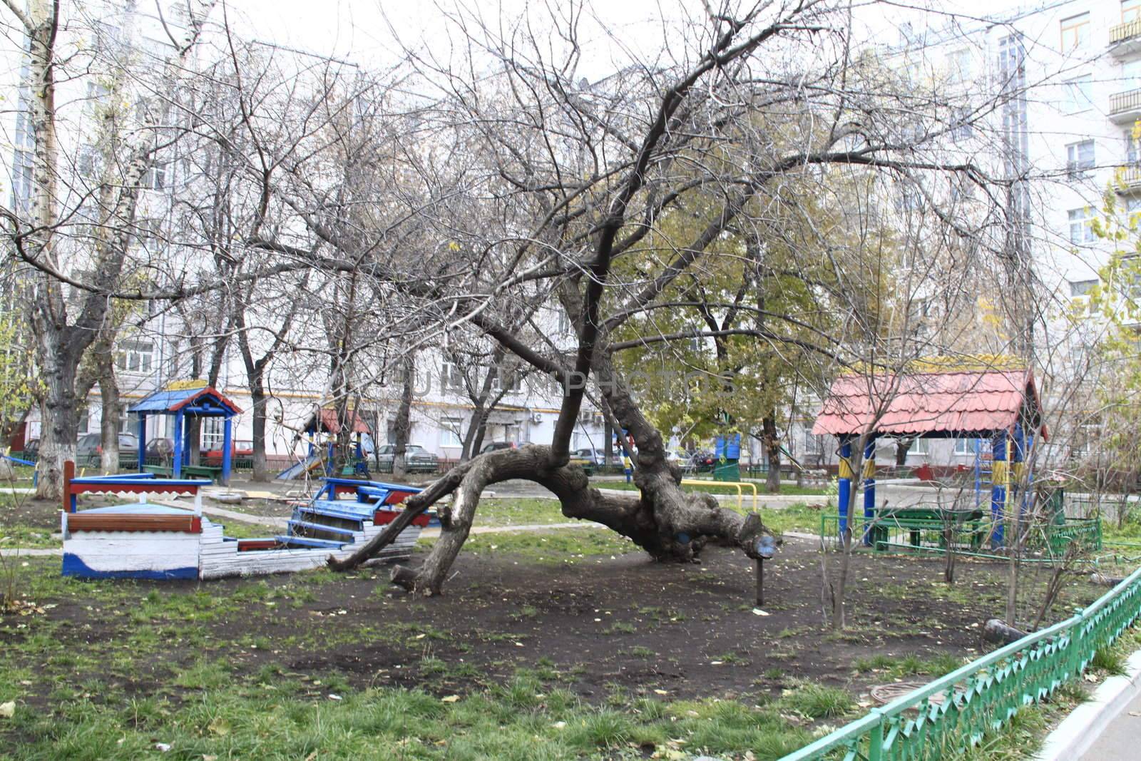 adventure playground