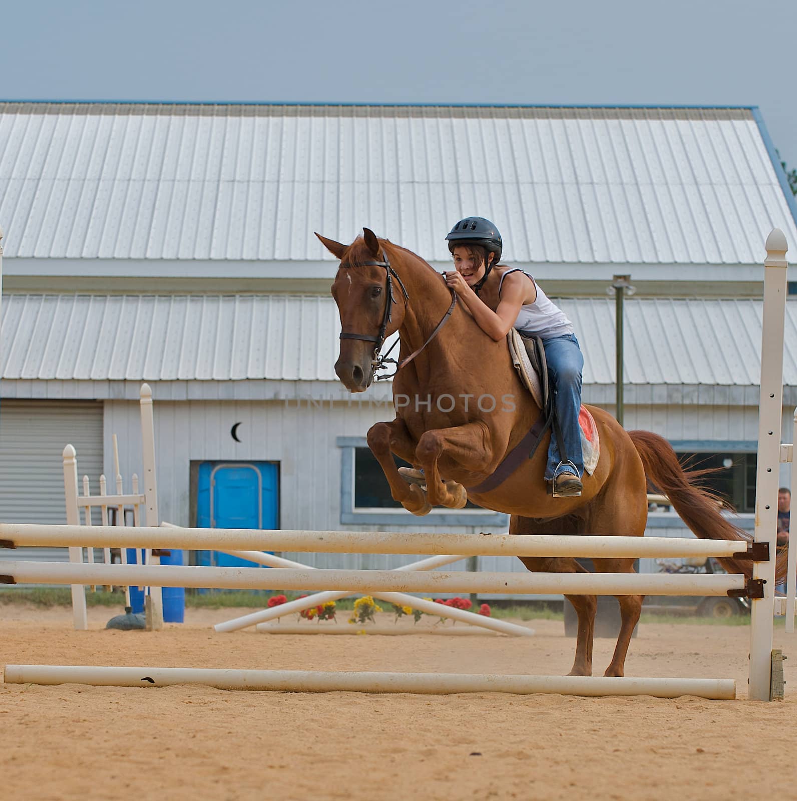 Athletic teen girl jumping a horse over rails.  Shot from the side as the horse's back legs are still on the ground.