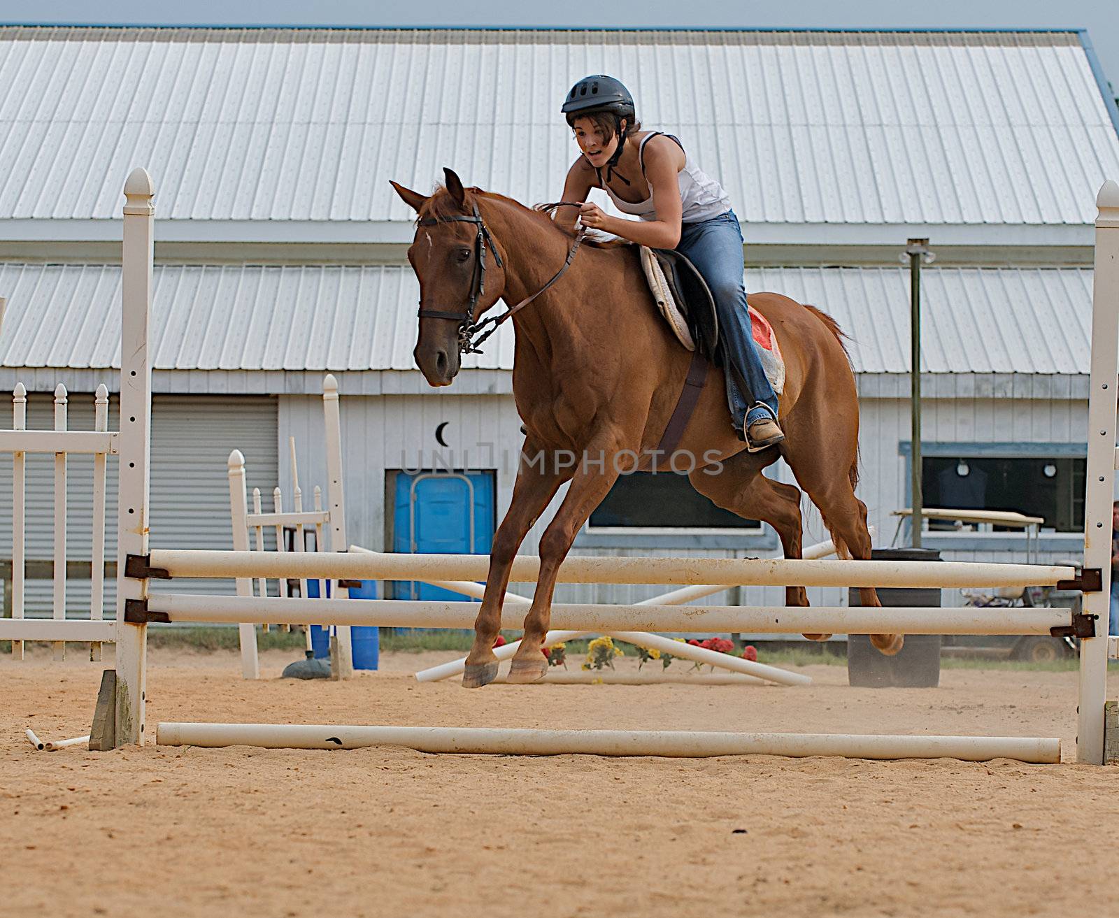 Athletic teen girl jumping a horse over rails.  Shot from the side as the horse is in mid-air.