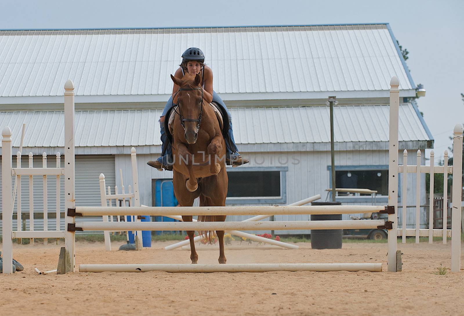 Athletic teen girl jumping a horse over rails. by dmvphotos