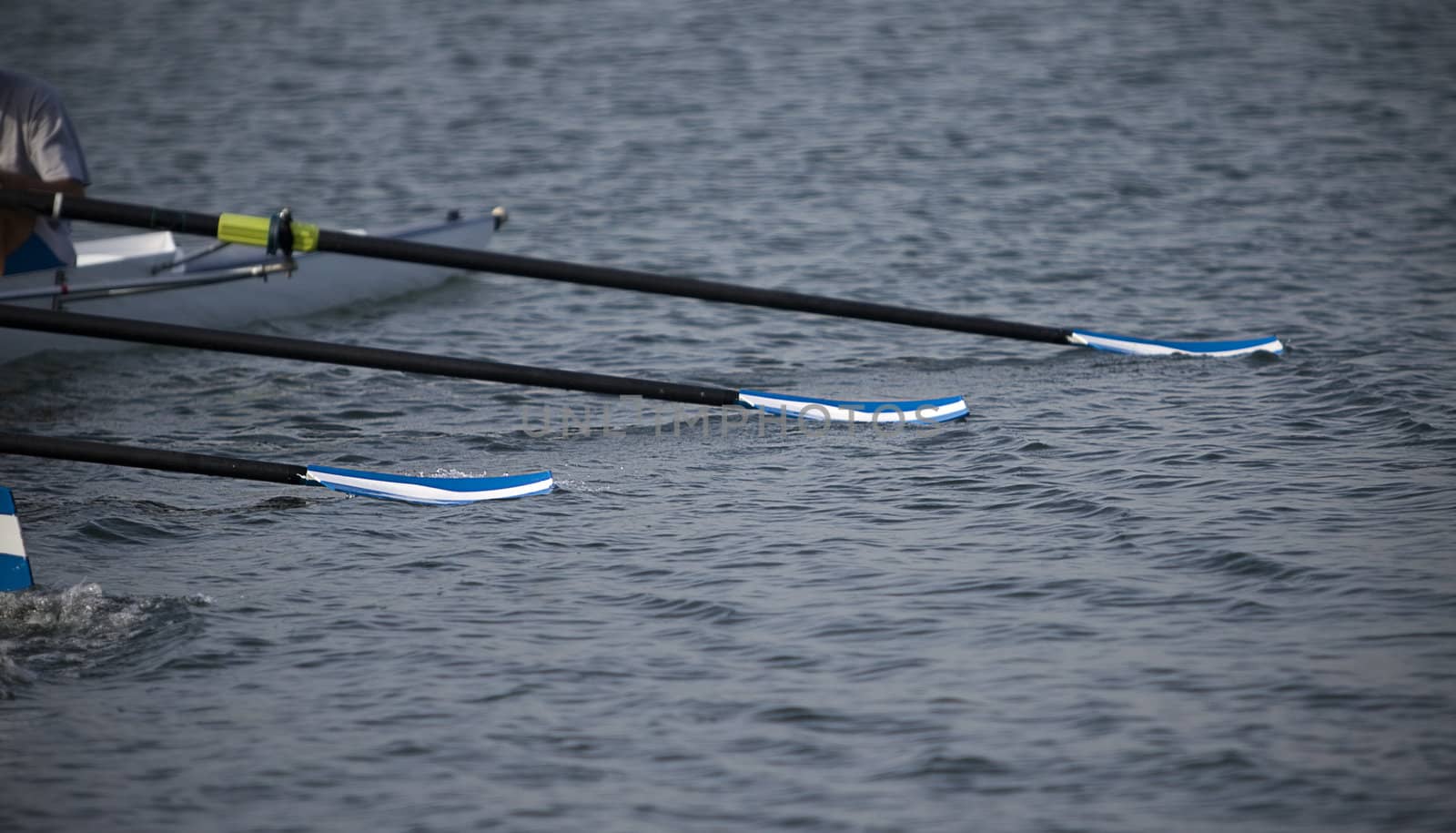 Oars lie on water.