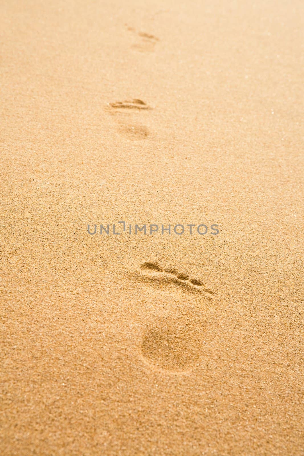 Traces of the person on yellow sand on a beach
