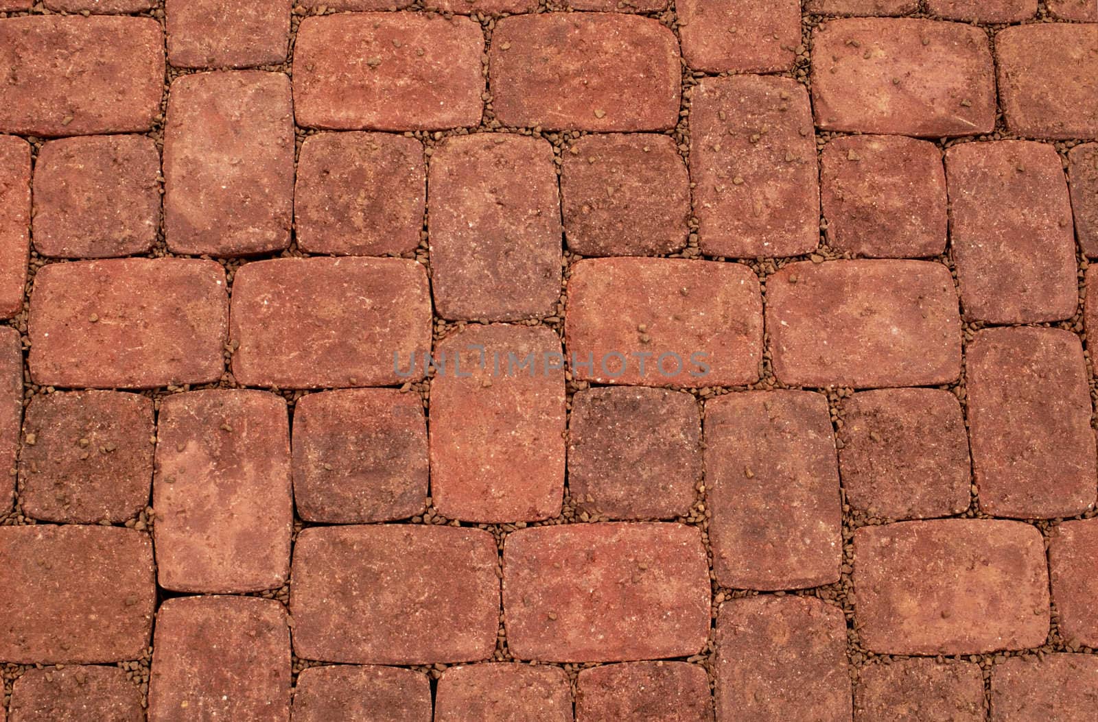 Close up of new brick paving in a yard. Suitable as background.