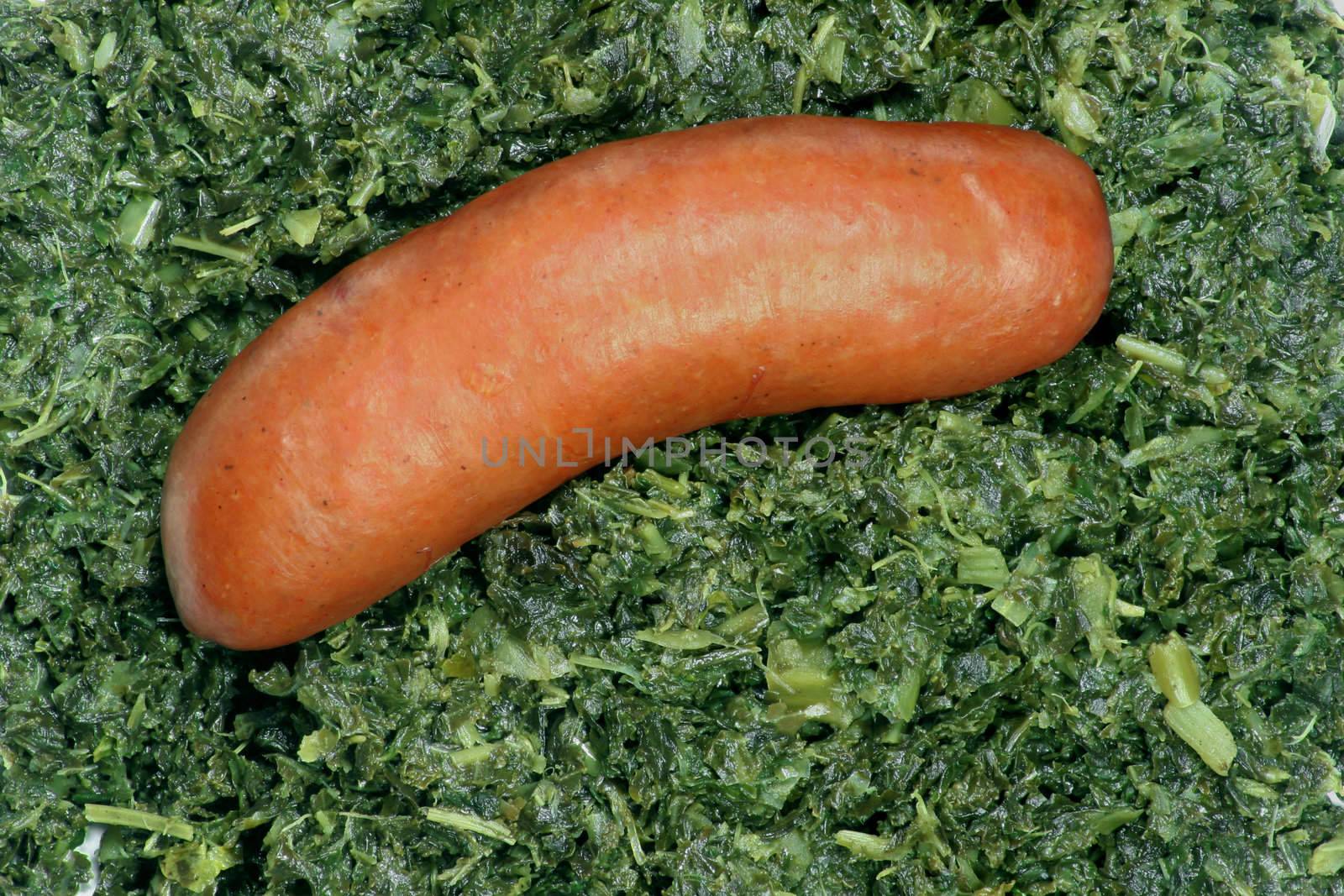 Sausage on cabbage by hanhepi