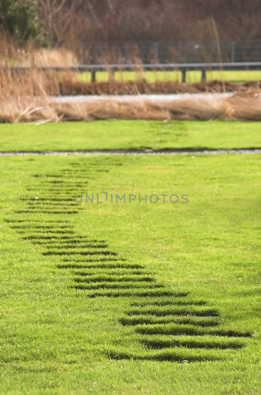 Green pathwalk