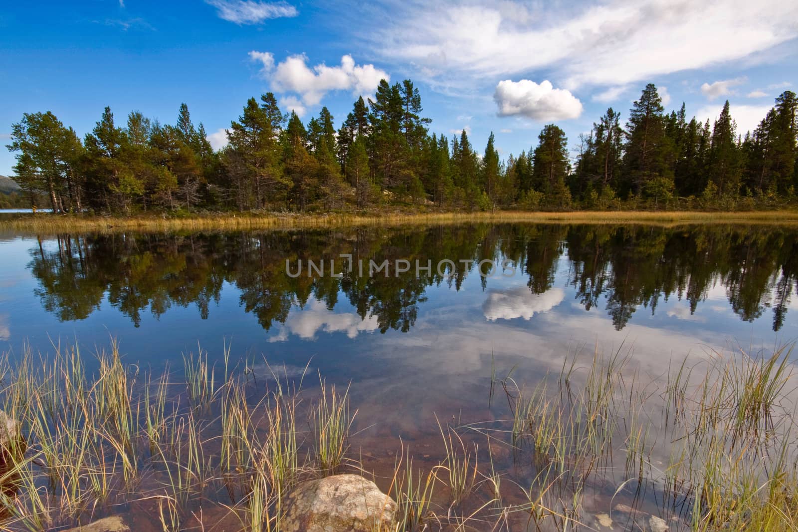 Skog og himmel speiler i vann.