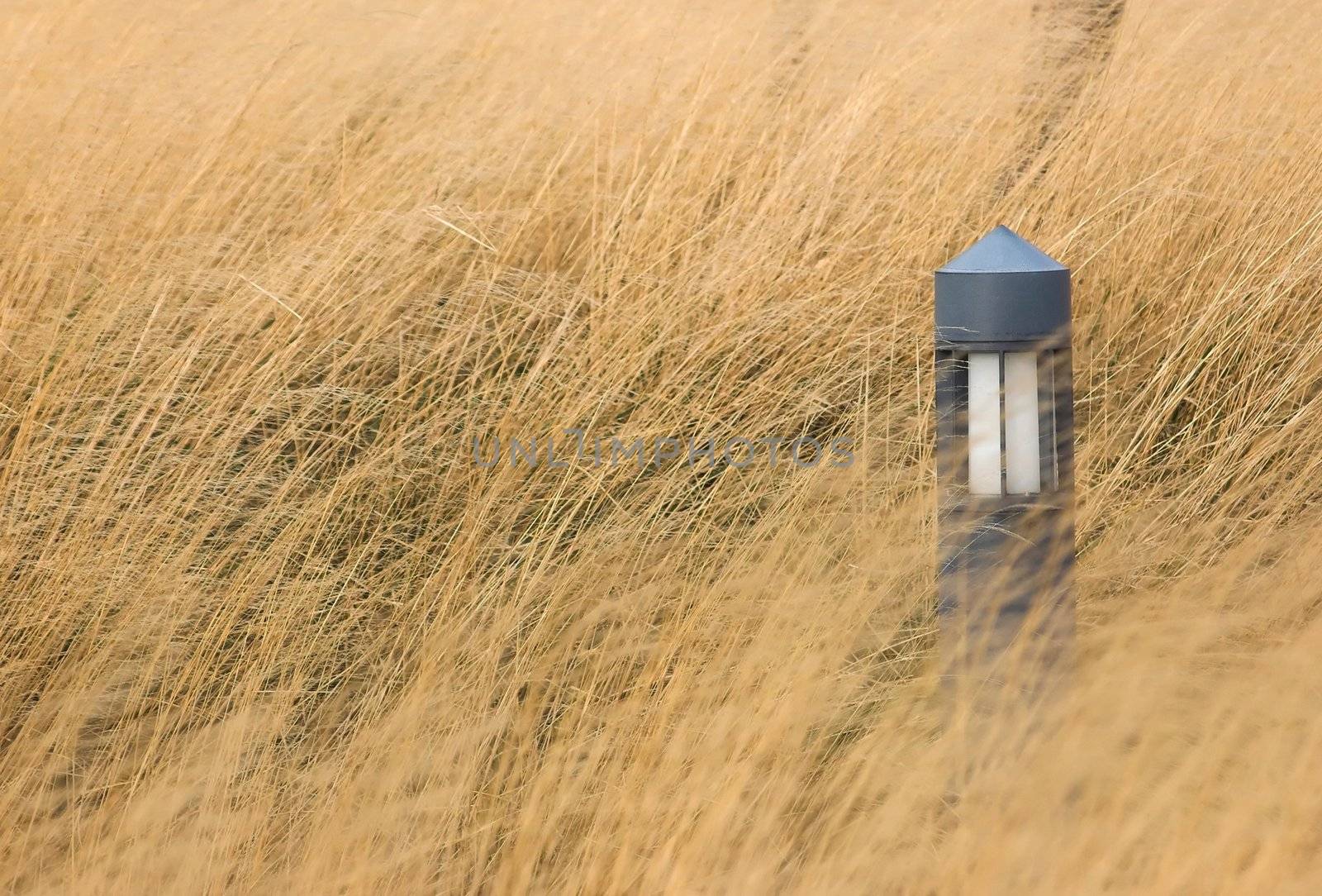 Garden lamp in a grass field