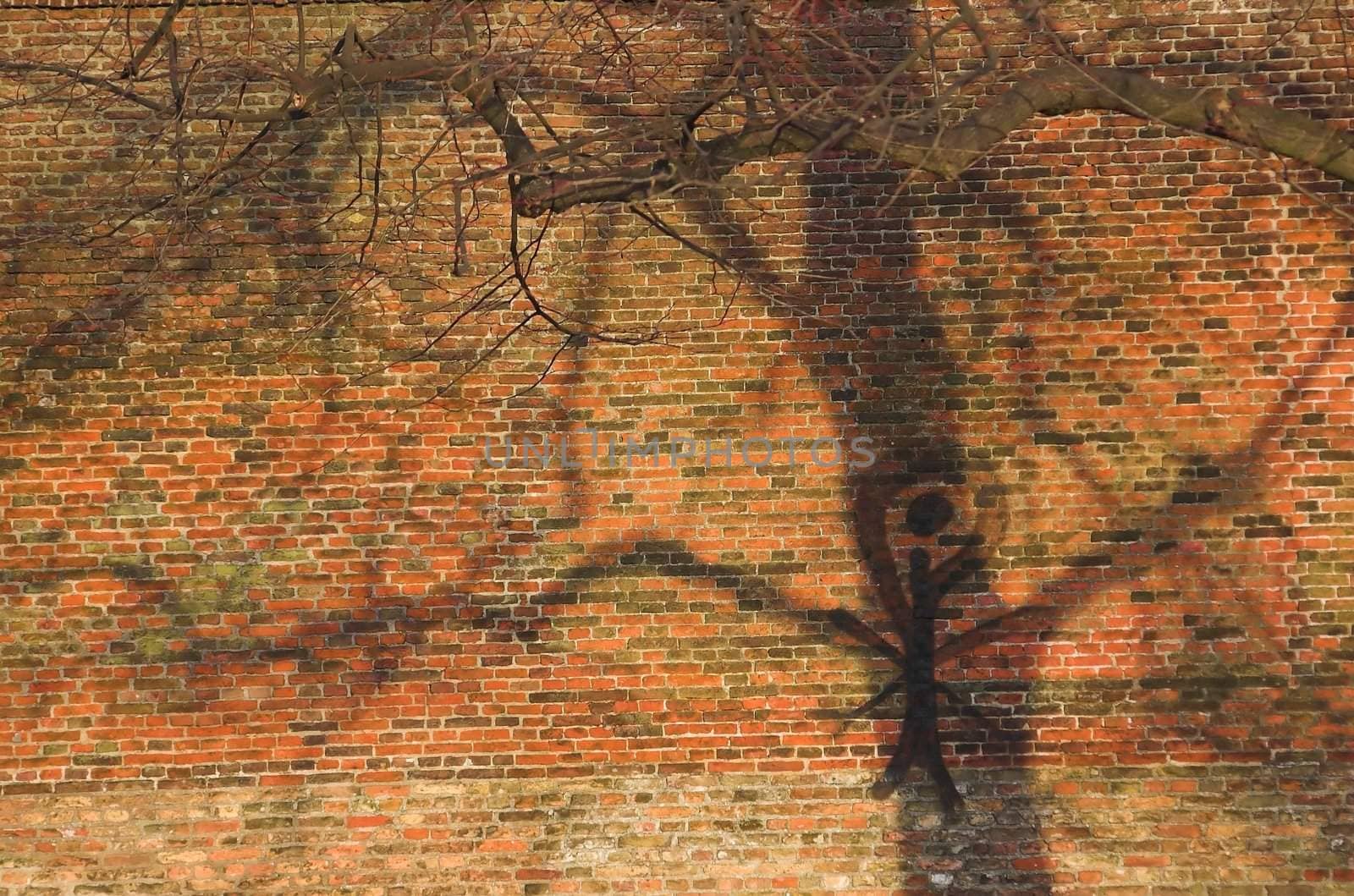 Red brick pattern with a tree shadow