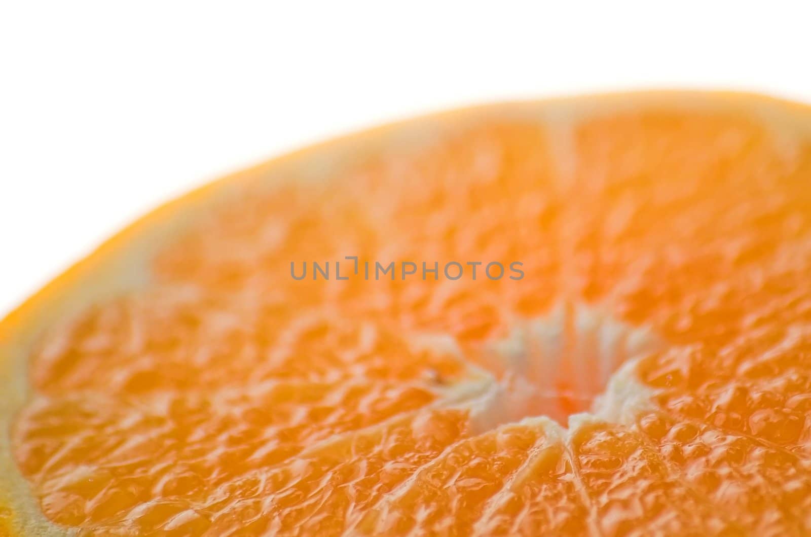 Orange half macro