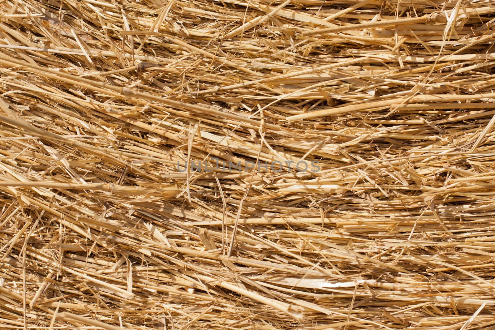 Close-up of dry hay by Jaykayl