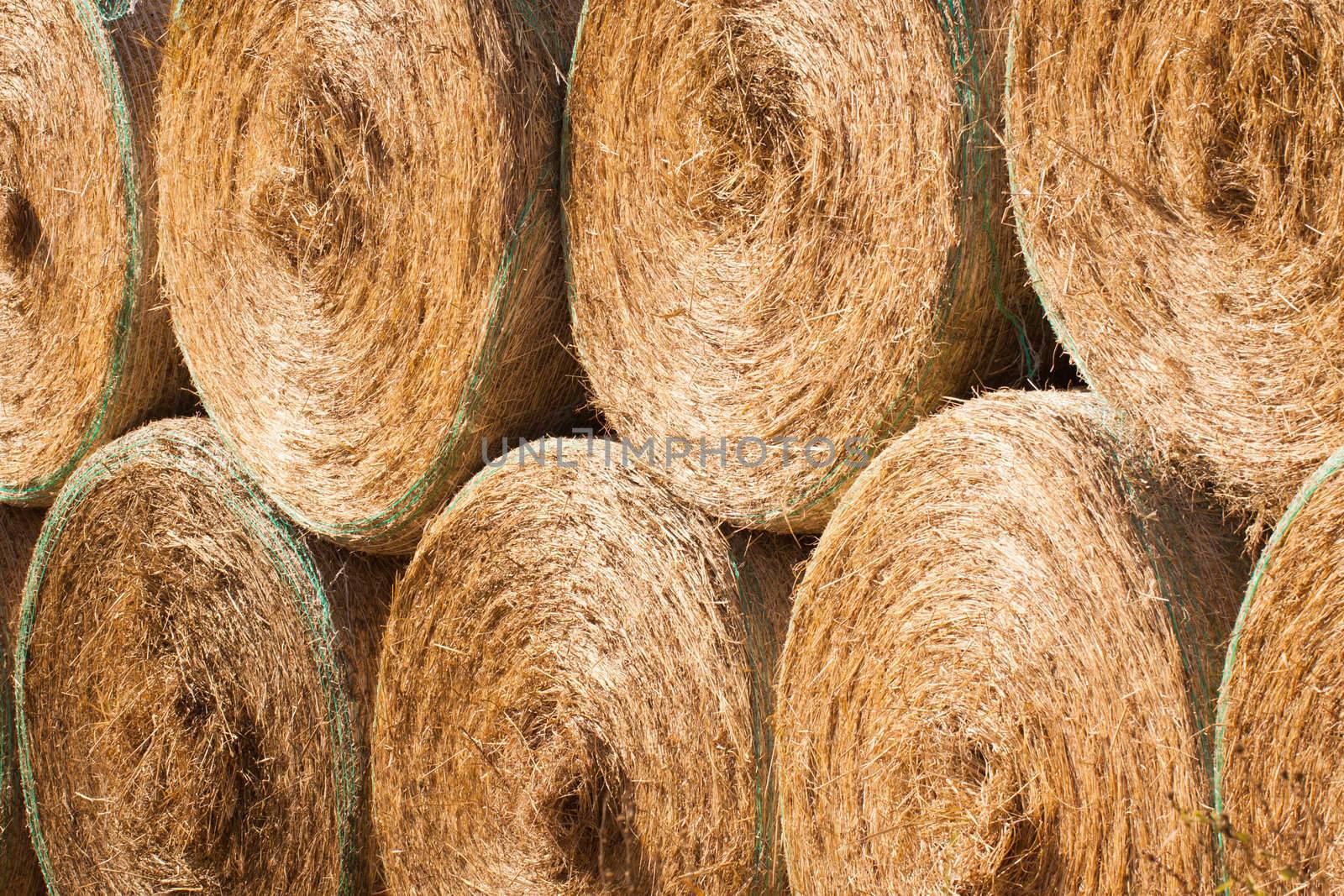 Stack of round haybales drying outdoors