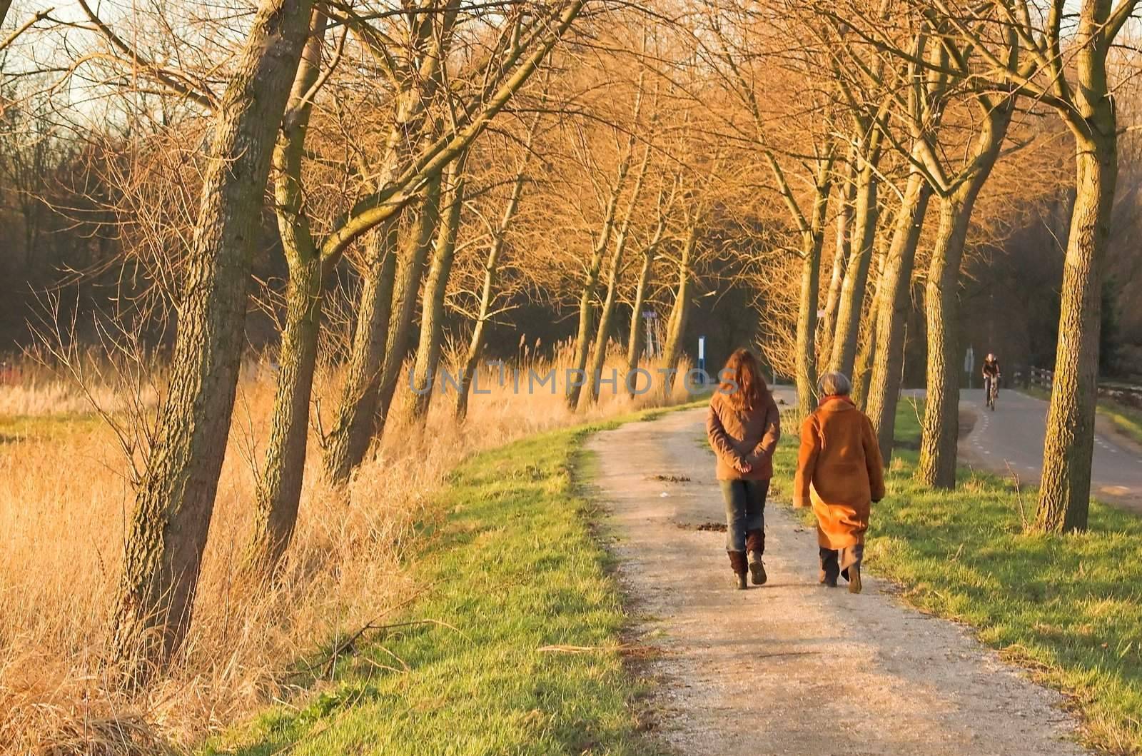 Two women taking a stroll in a Dutch park in the setting sun