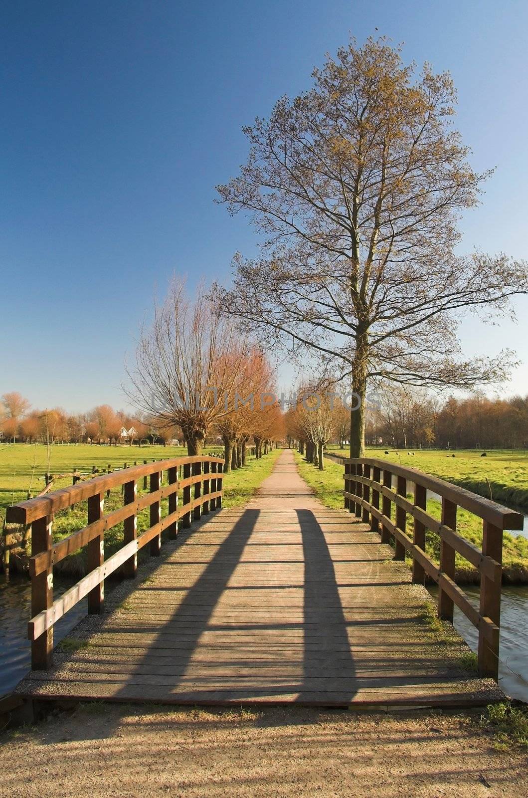 Recreation park in Rijswijk, Holland