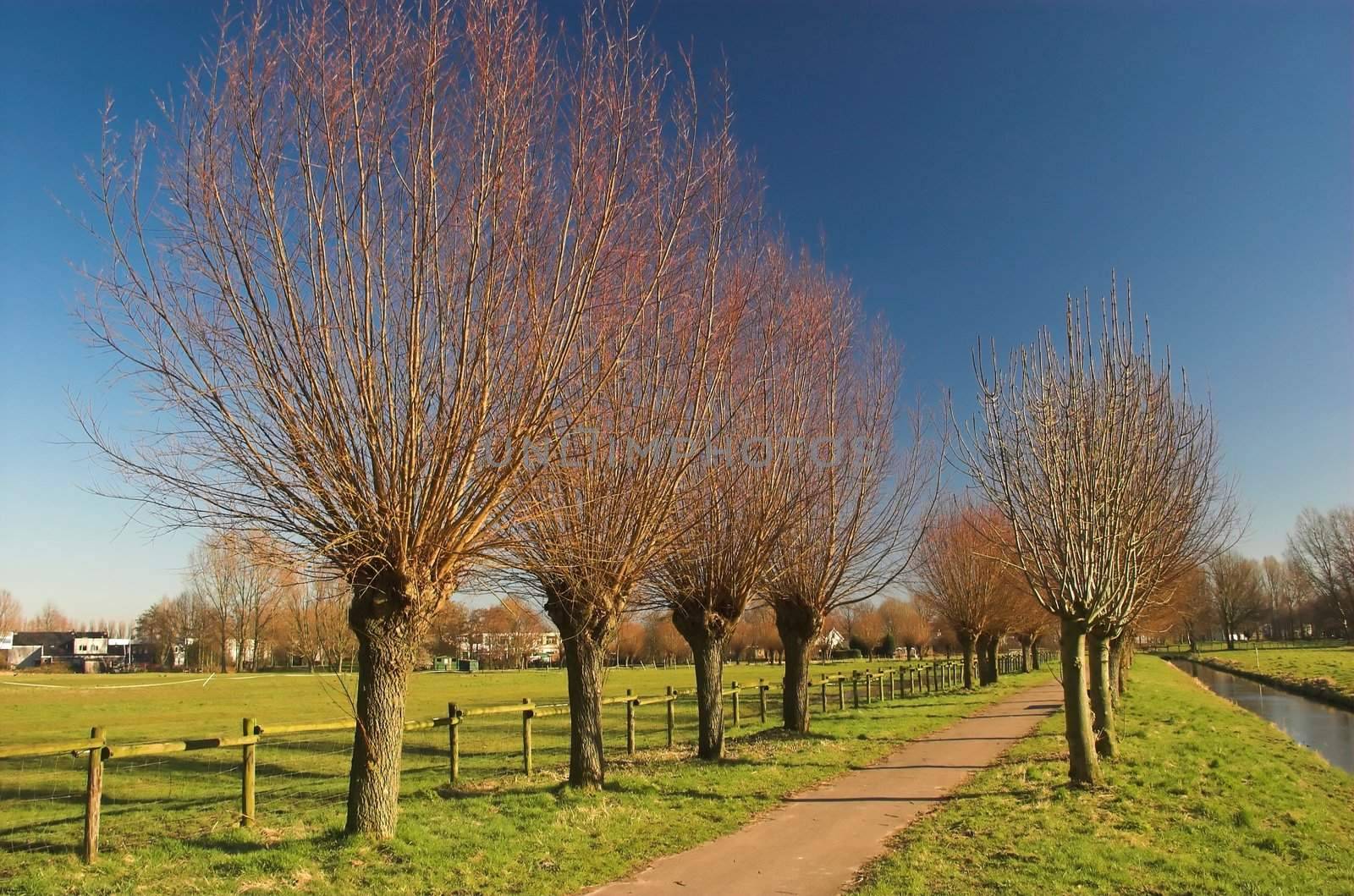 Recreation park in Rijswijk, Holland