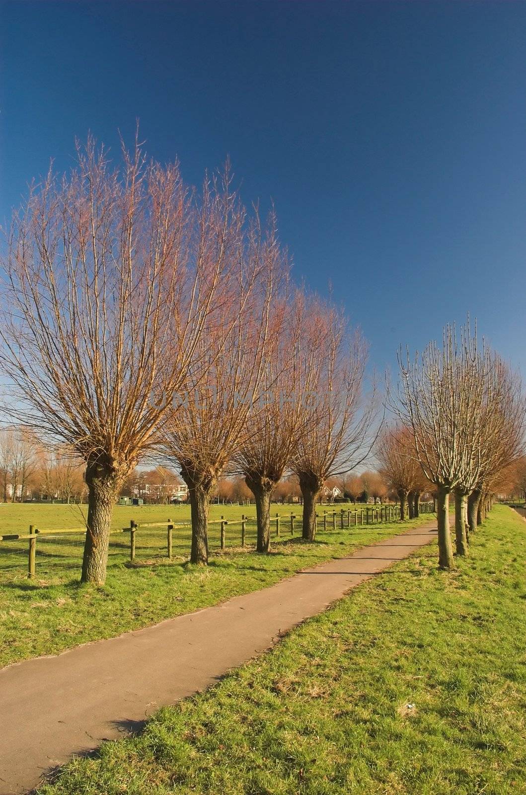 Recreation park in Rijswijk, Holland