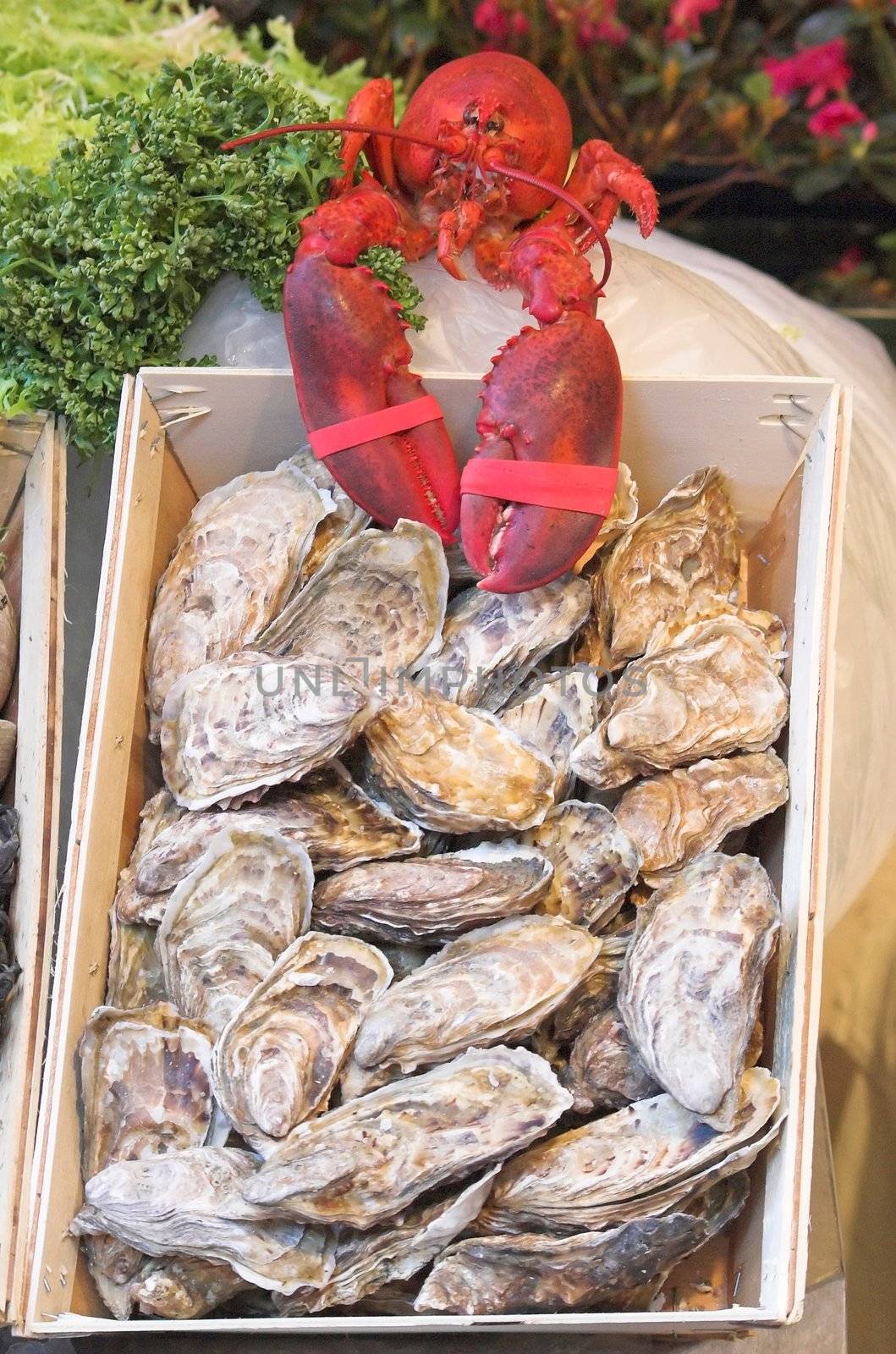 Belgian seafood restaurant in Brussels - seafood on display